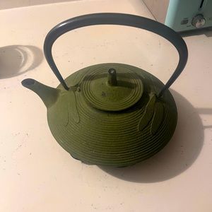 Green Dragonfly Cast Iron Teapot